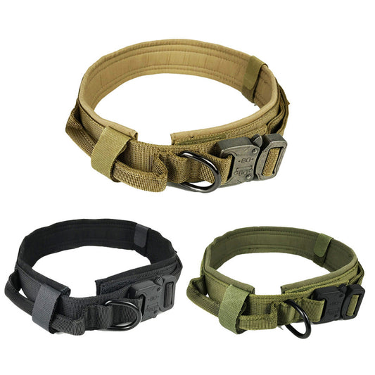 Dog collar high-quality
